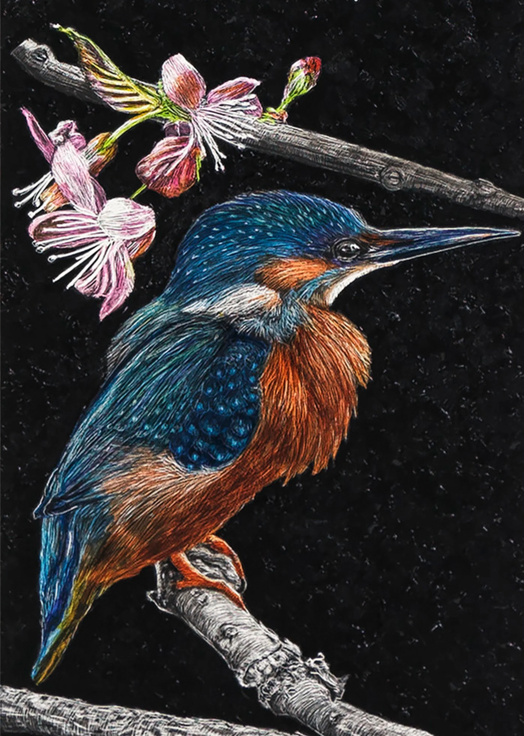 Unifying_Thread_Kingfisher.jpg