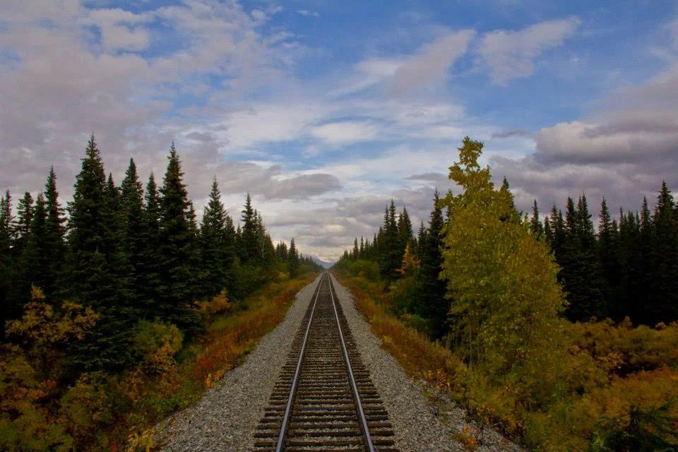 sce.rail.all.cars.fall.jpg