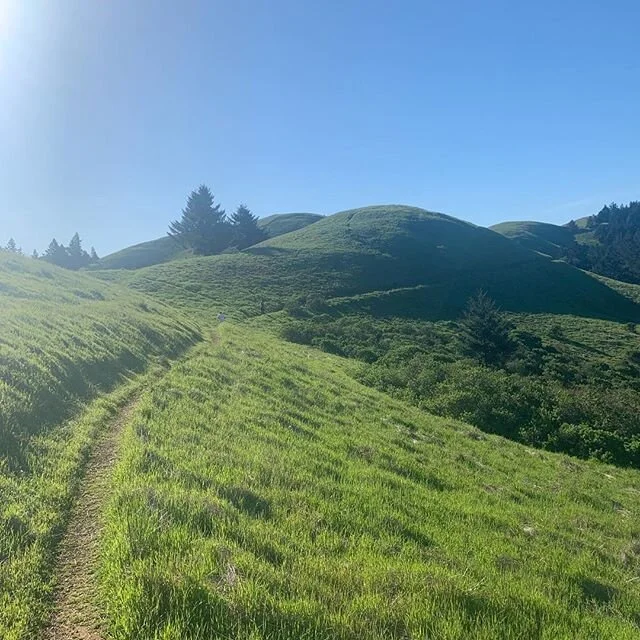 Mt. Tam Wild Boar 1/2 #ranfullboar #envirosports