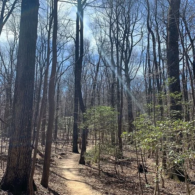 Recovery hike. I.e. My legs: &ldquo;Quad are you doing to us?!&rdquo; #gettingalegup
