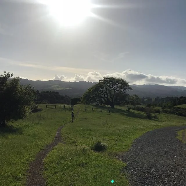 Trail run with HB