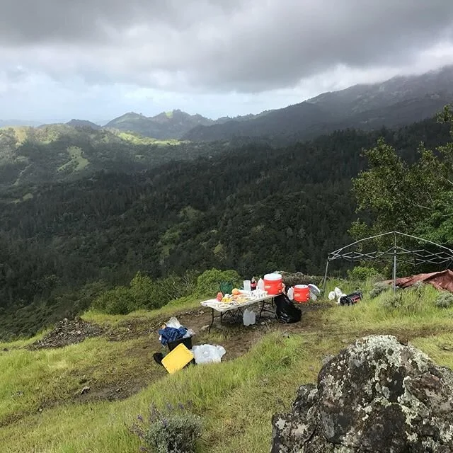 Volunteering sucks.