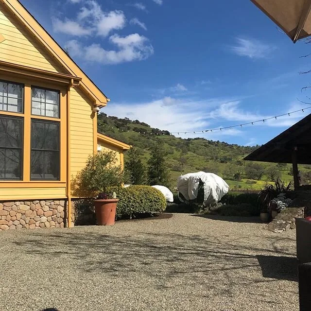 paradise reduxx