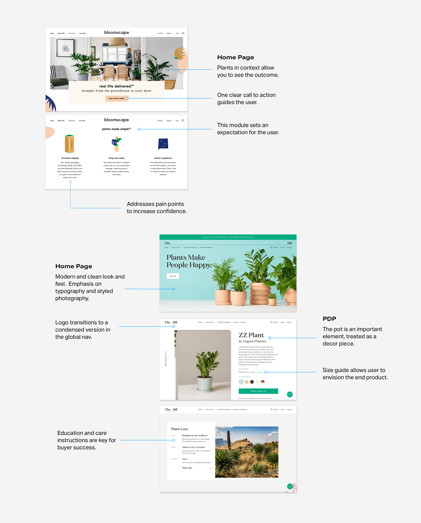 Tiny Garden-Audit-Plants.png