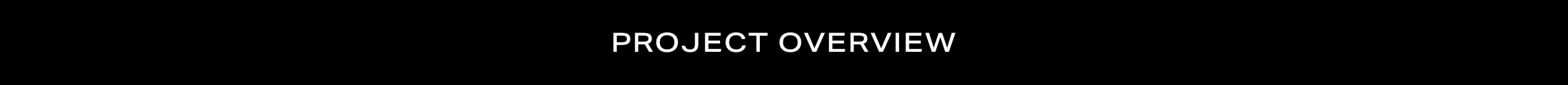 PROJECT OVERVIEW.png