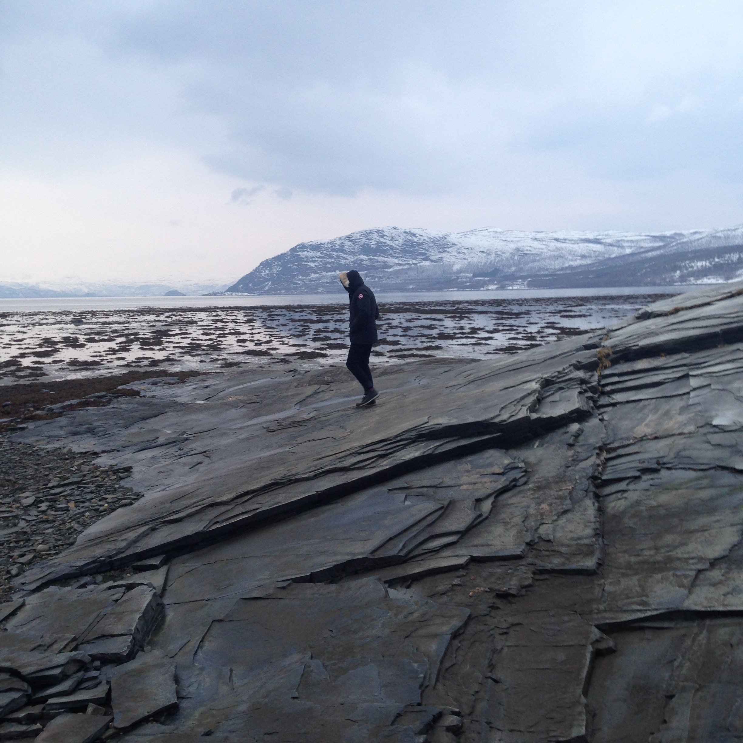 LAKSELV, FINNMARK