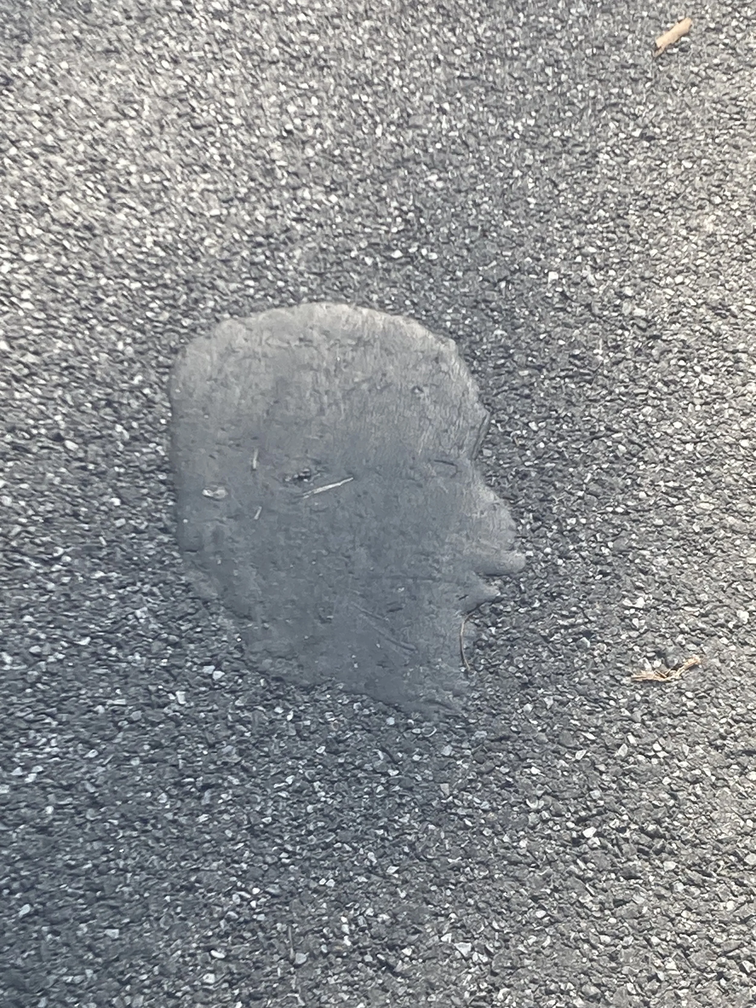 central park profile.jpg