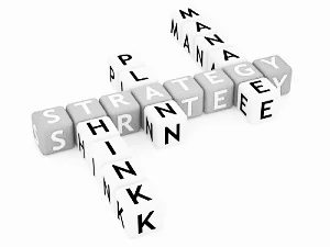StrategyThinkPlanManage.jpg