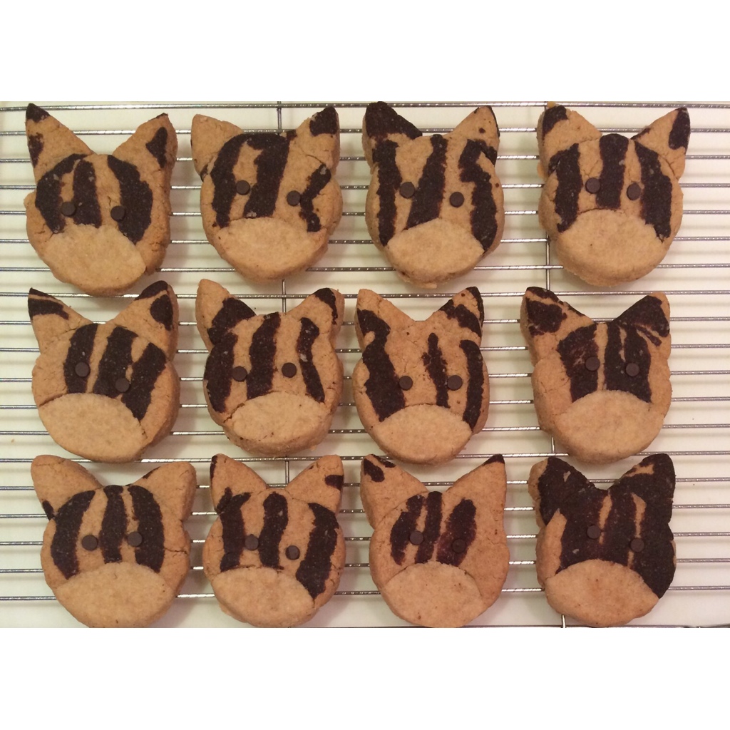 same but different - vanilla / peanut butter / chocolate cats with chocolate chip eyes VEGAN / GLUTENFREE 2014