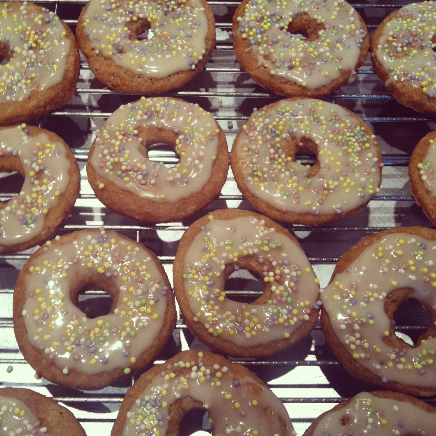 donut shaped with a hint o' lemon VEGAN / GLUTENFREE tshirt show, nirvana bar 2013