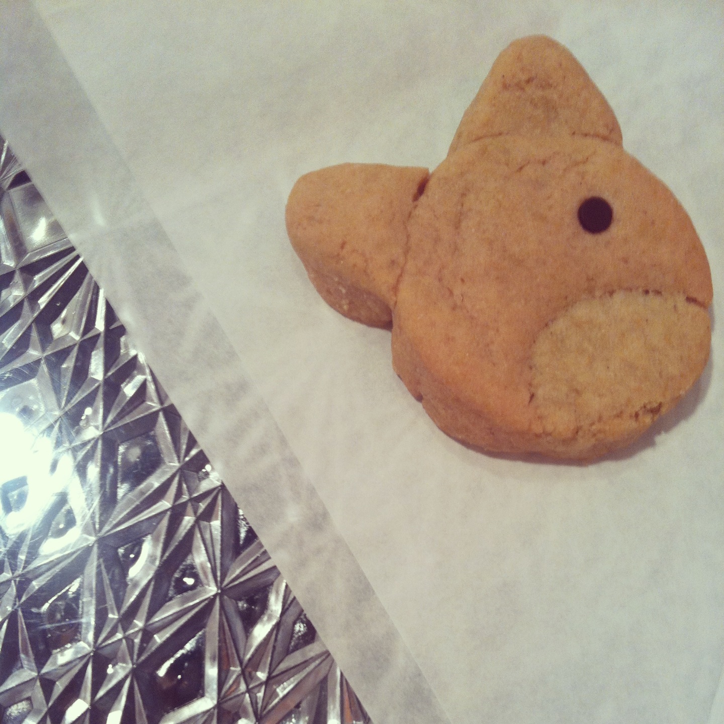 an opening night special edition cookie and tribute to my favorite and very best cat in the world - orange n cream flavored cat with chocolate chip eye VEGAN / GLUTENFREE i luv n miss you O