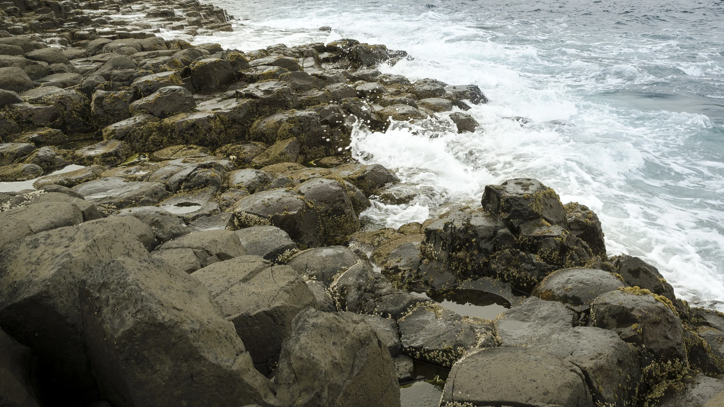 DSC_0531-2.jpg