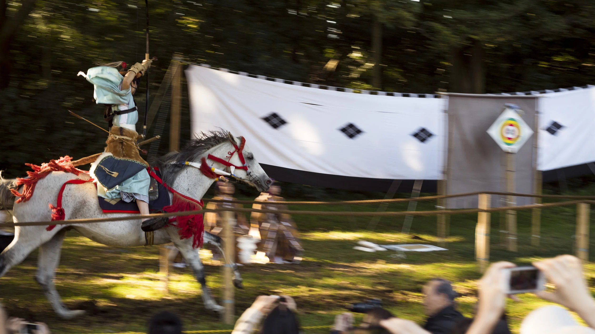 DSC_0919.jpg