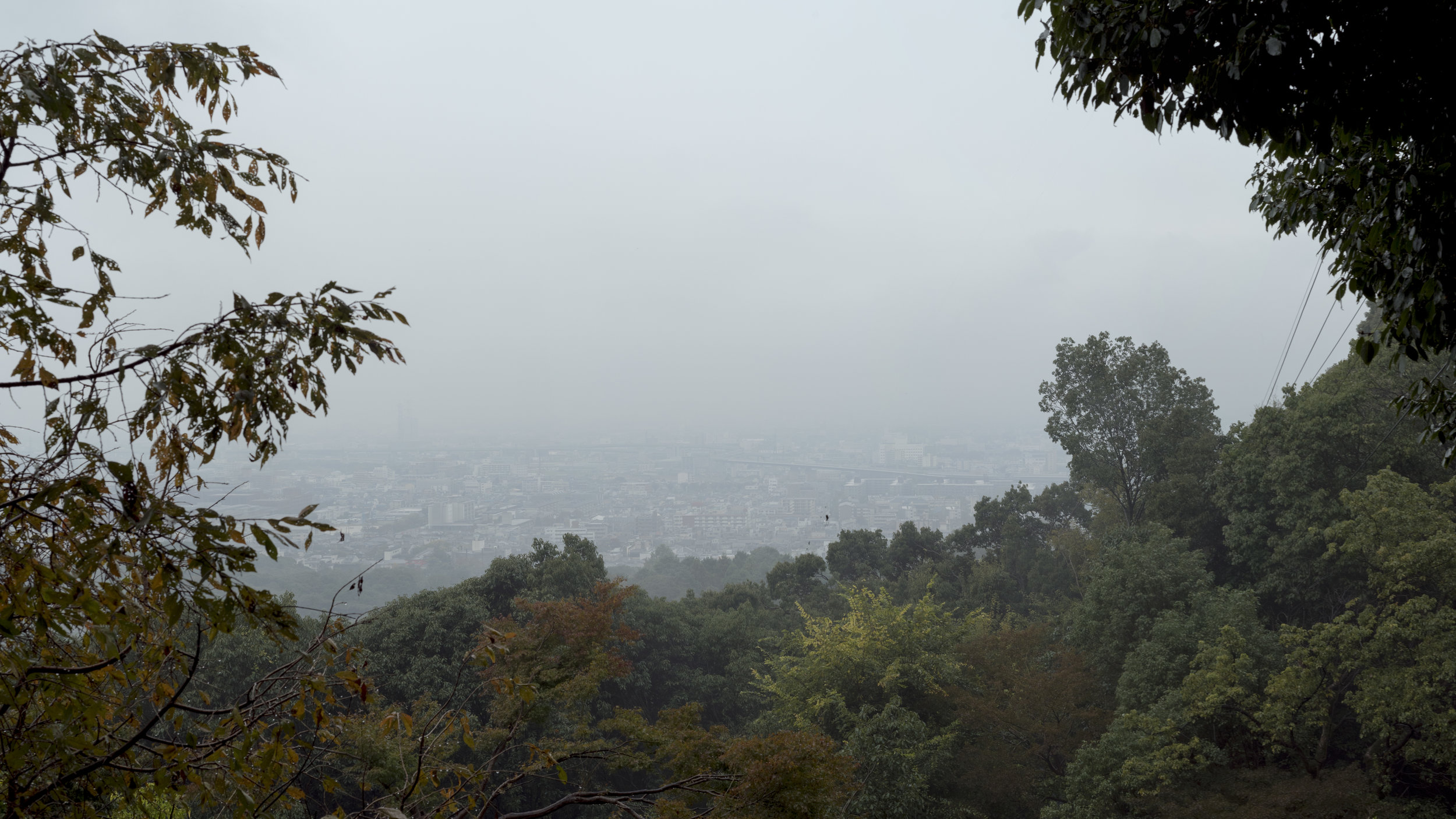 DSC_1756.jpg