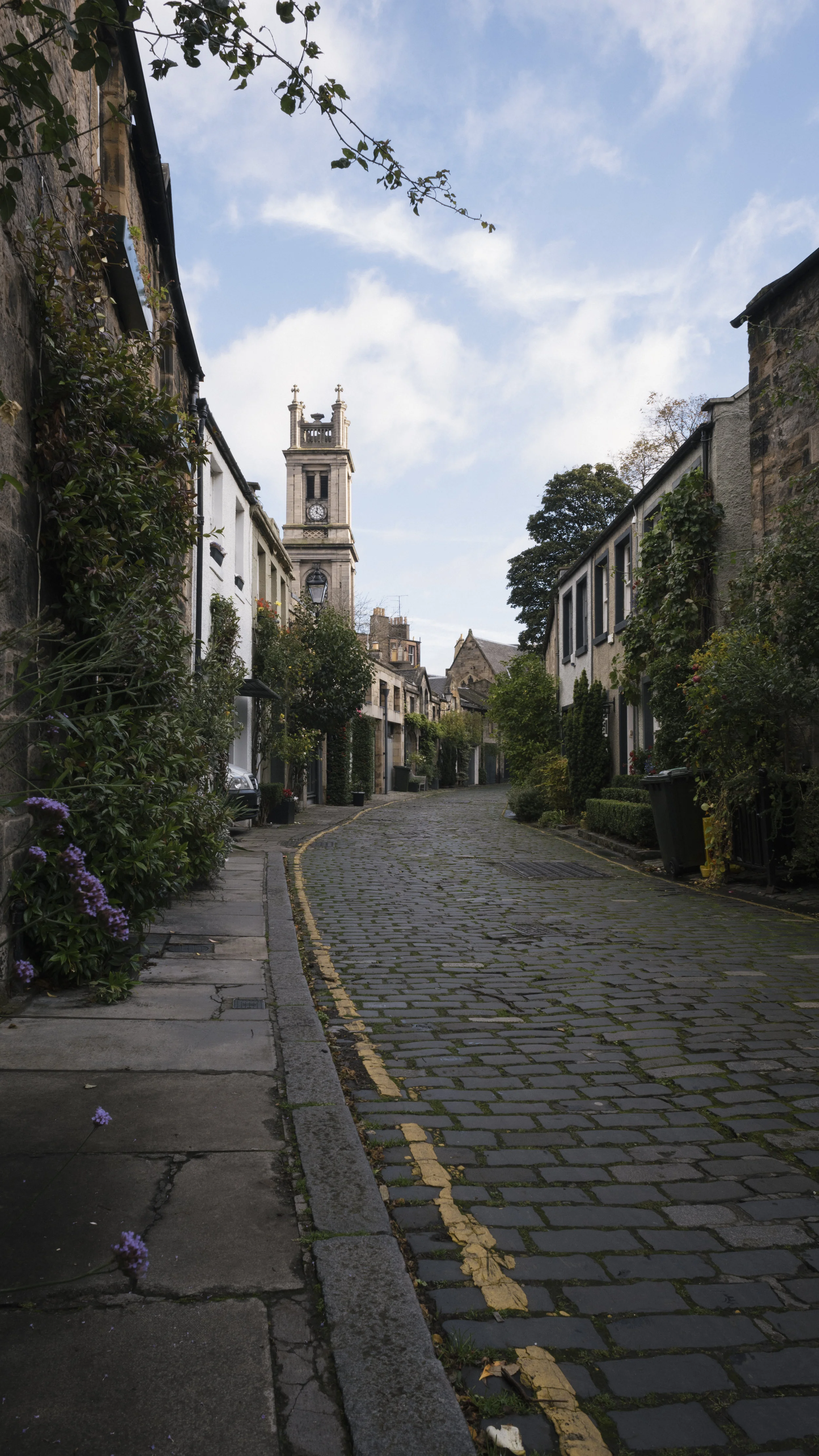 DSC_3484.jpg