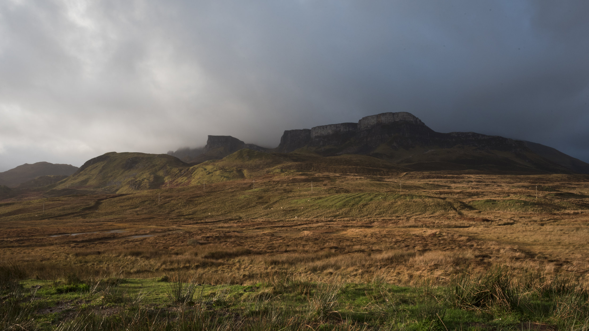DSC_3884.jpg