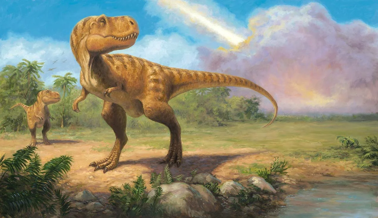 X is for Explain - T Rex copy.jpg