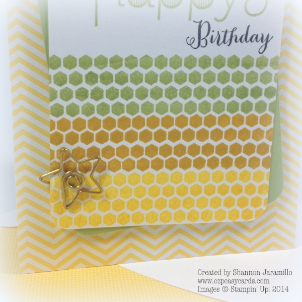 Remembering Your Birthday - PP211