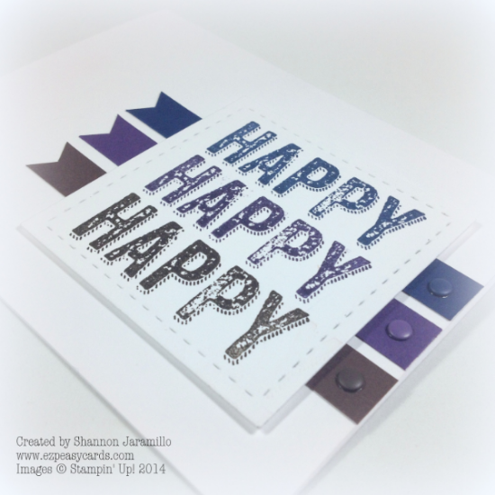 Another Birthday Surprise - PP214