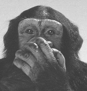 See something? Say nothing.