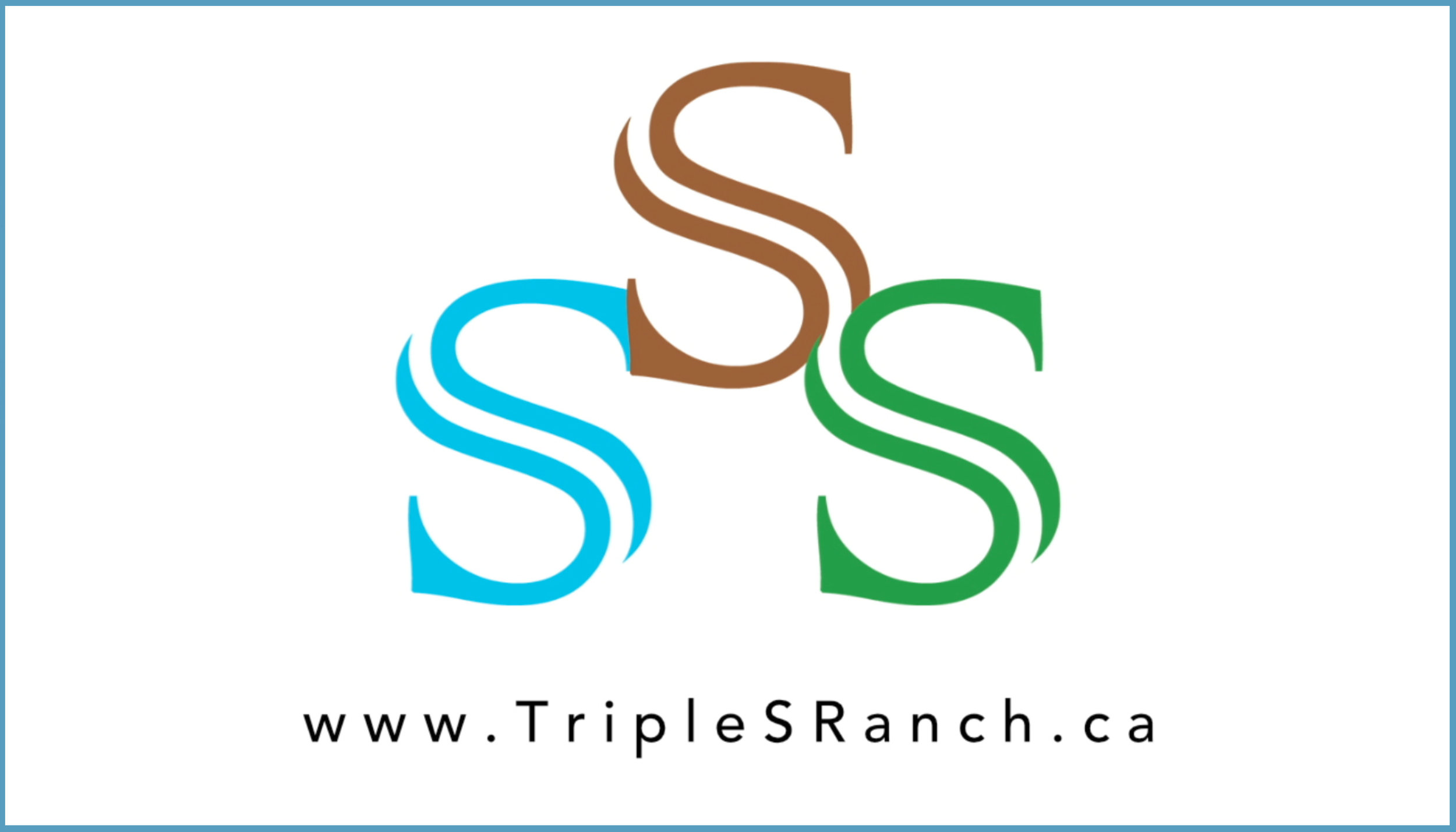 Triple S Ranch button.jpg