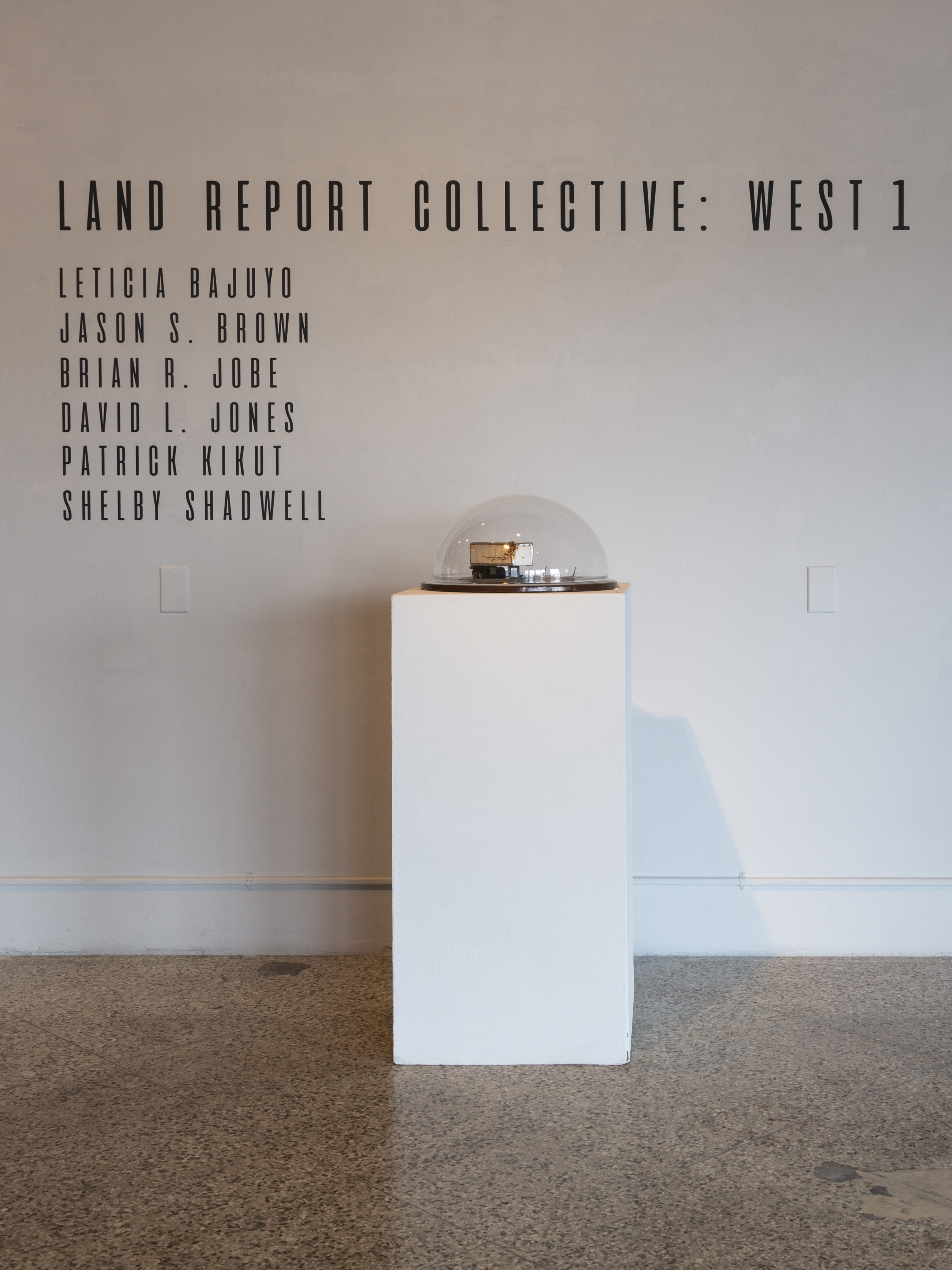 Land Report Installation_001.jpg