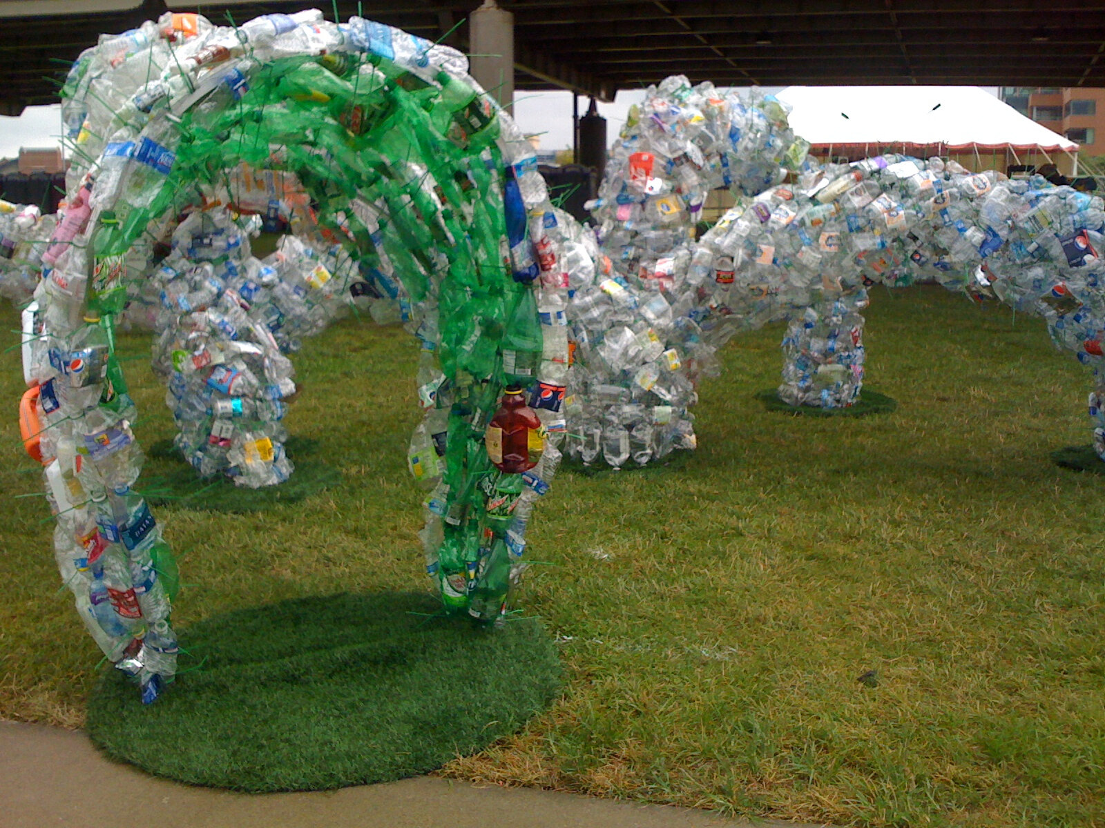 Bottle Shock, 2010 - Louisville, KY