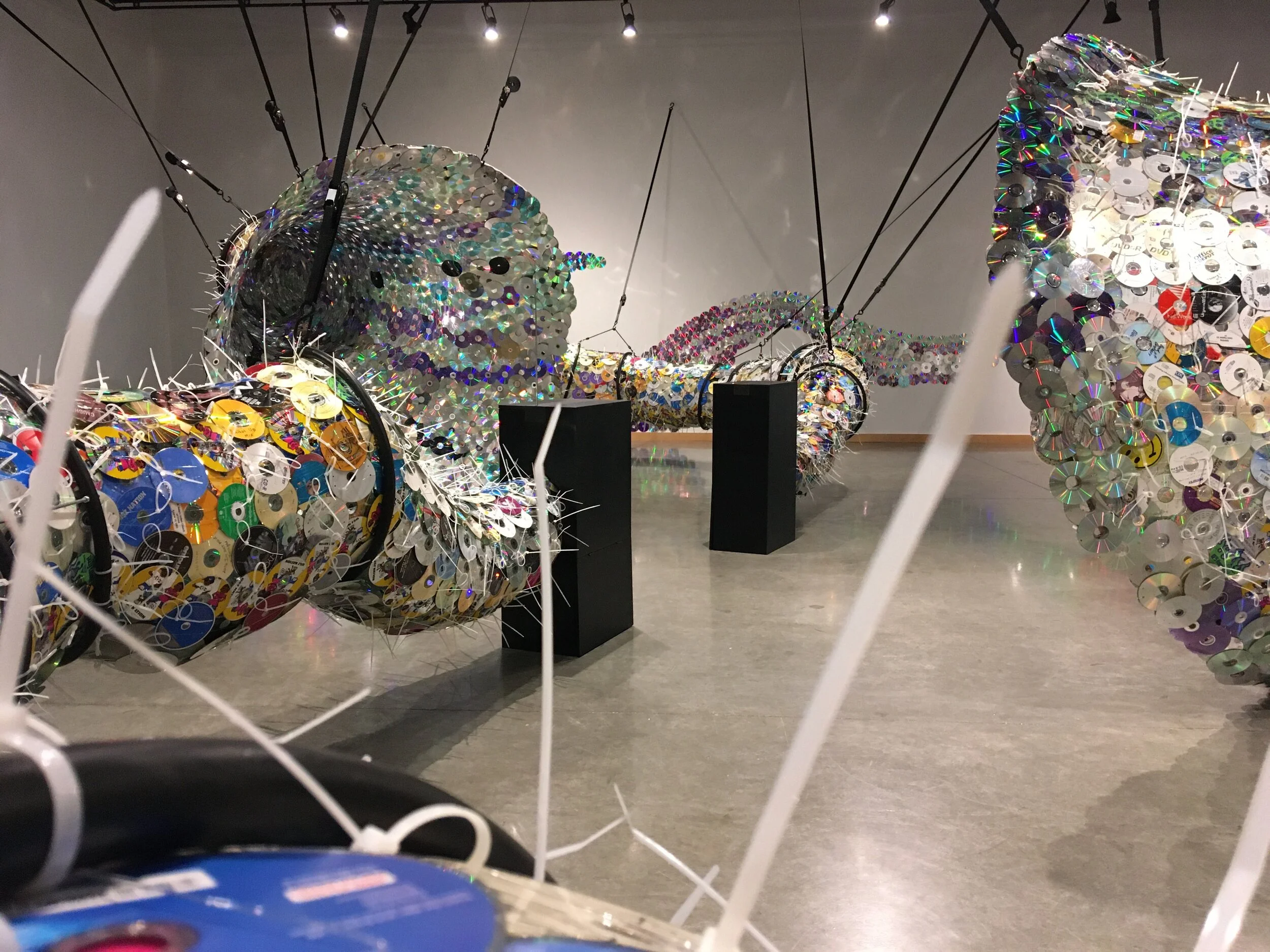 Exhibition - Dallas, Texas