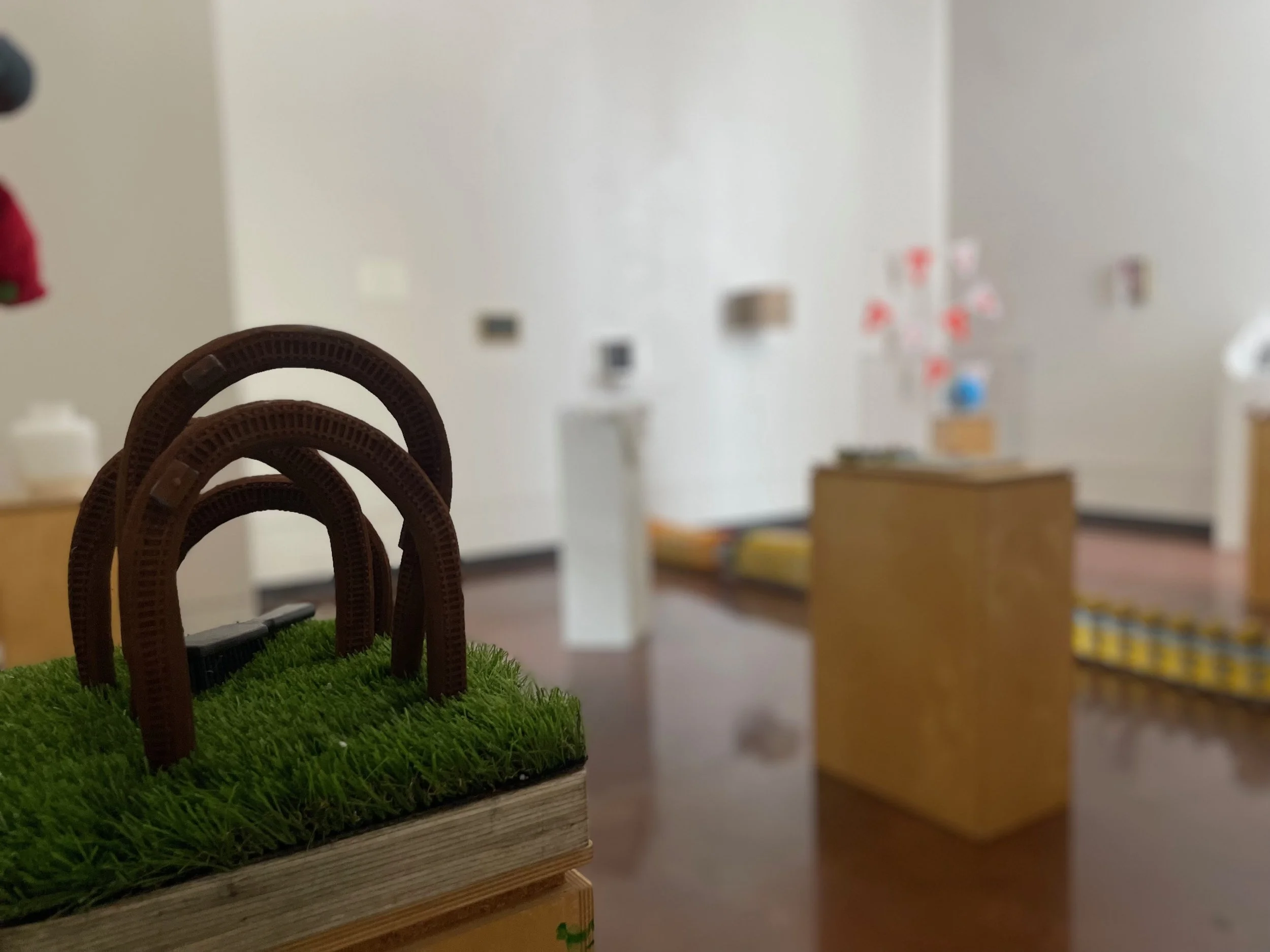 Exhibition - Lamoni, Iowa