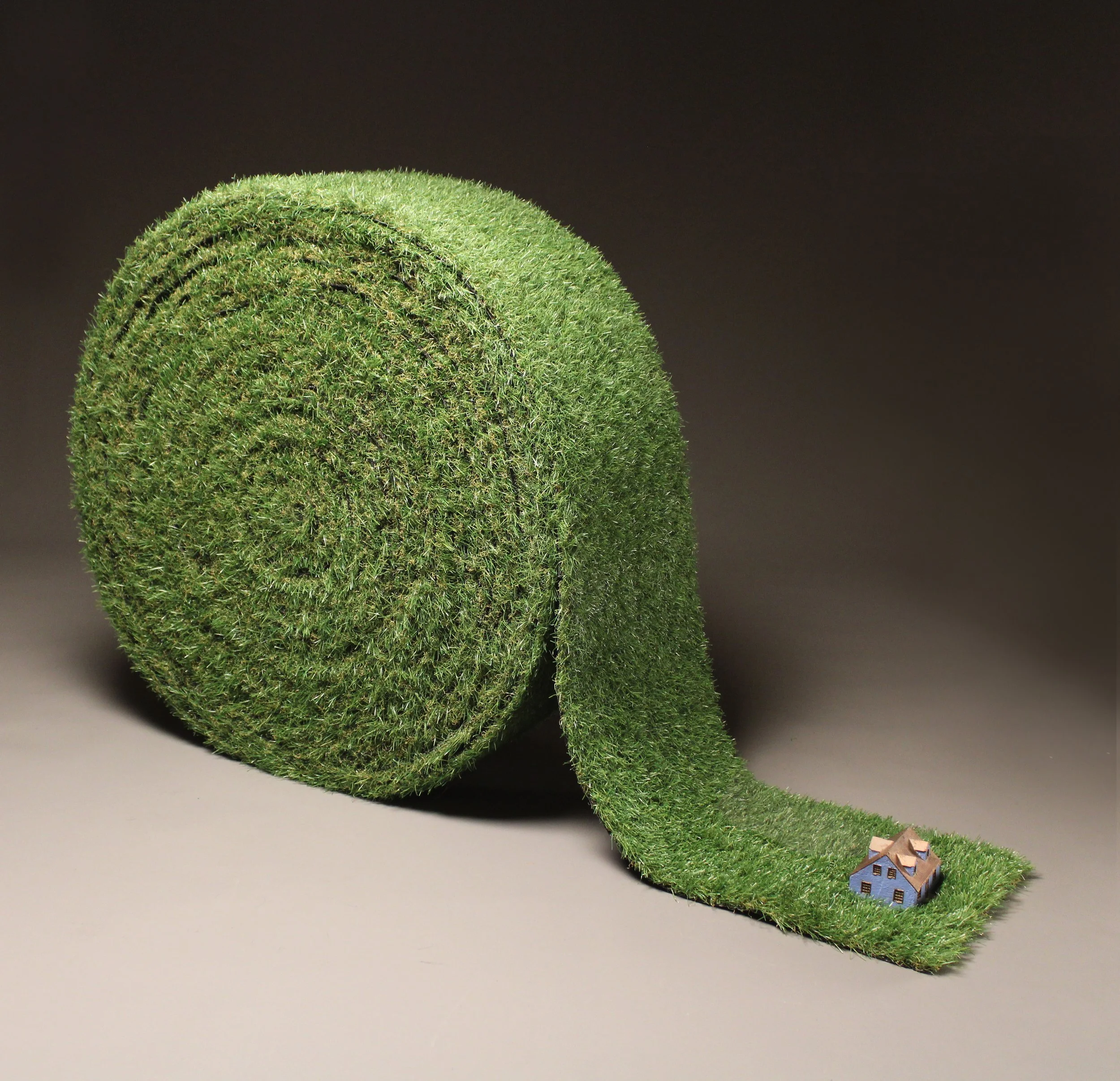 Bajuyo medium turf roll 2.jpg