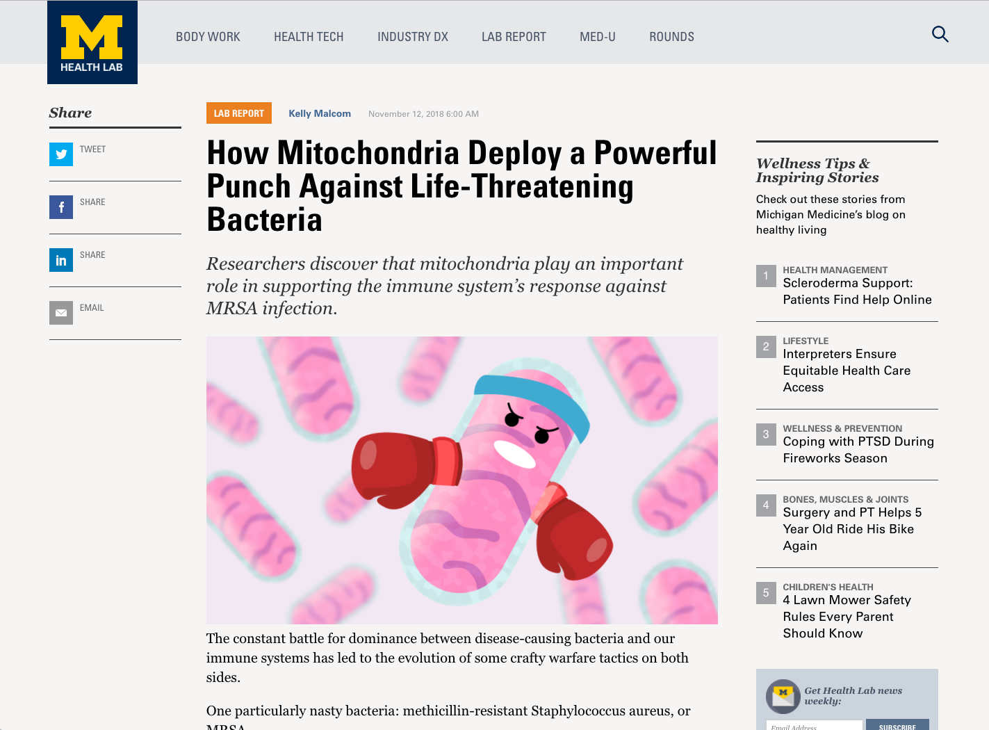 111218_Michigan-Mitochondria-Article.png