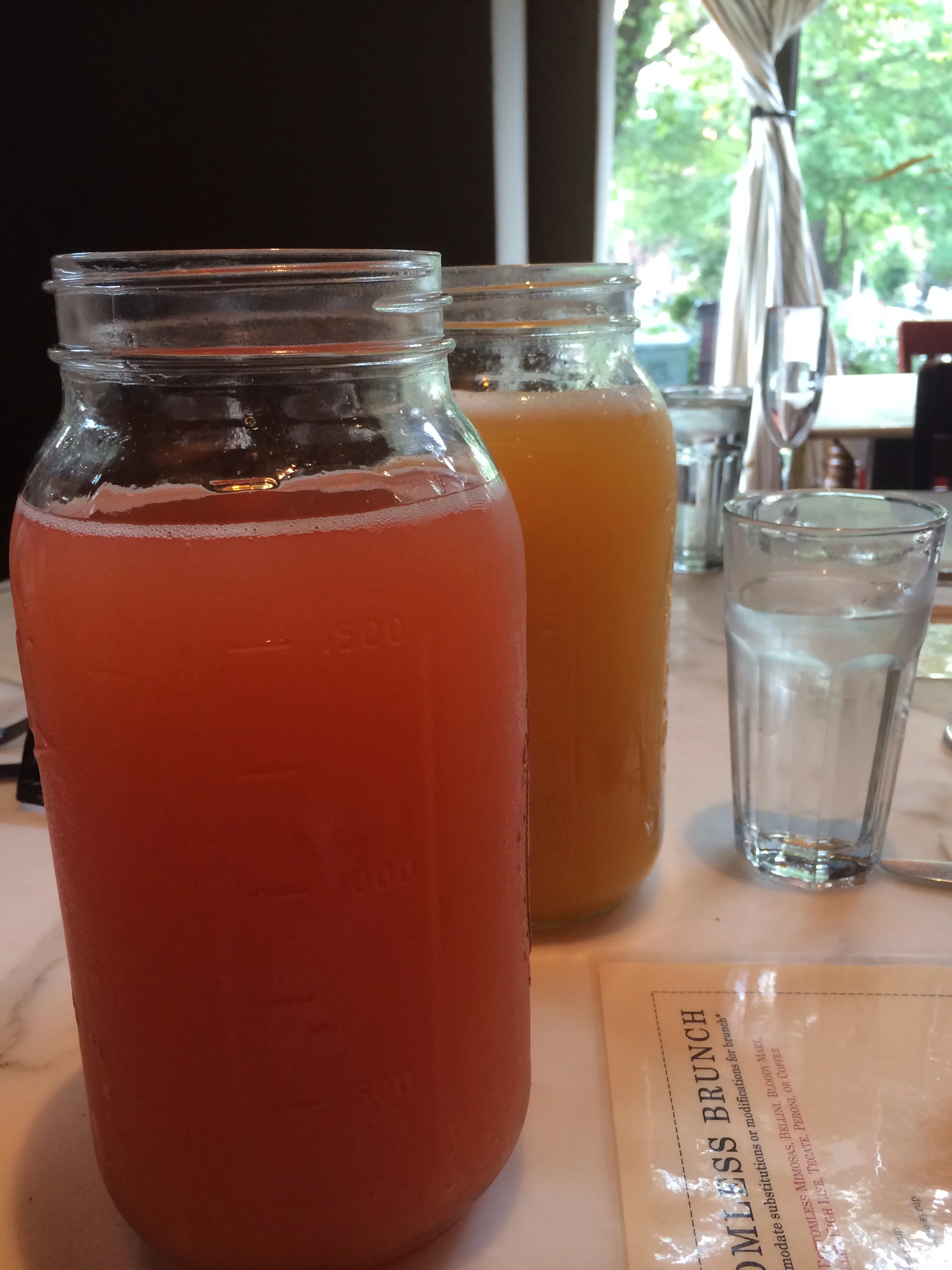 belinimimosa.JPG