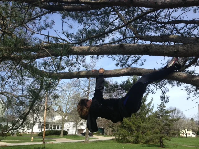 tree-traverse.jpg