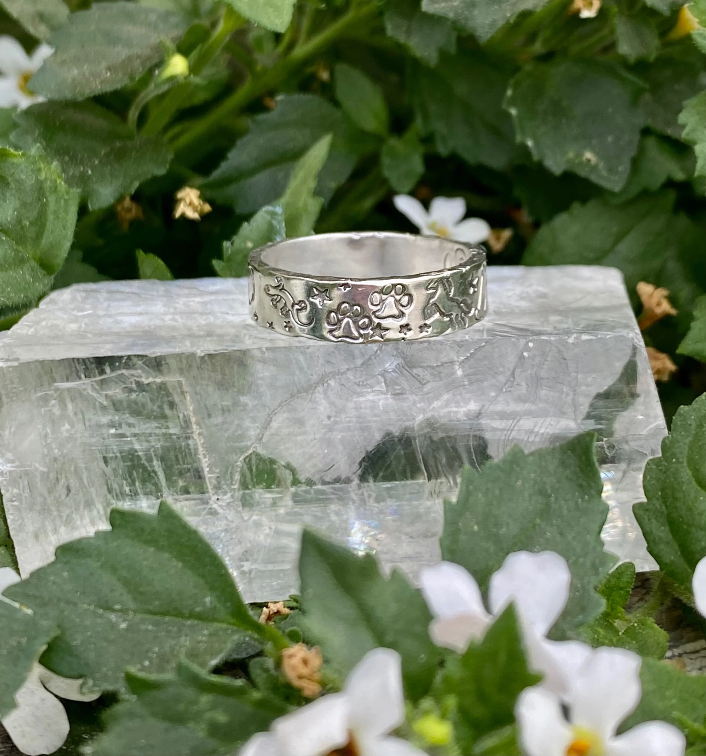 8E2A1A76-DF0B-4016-ADD3-0E47E741DA5F