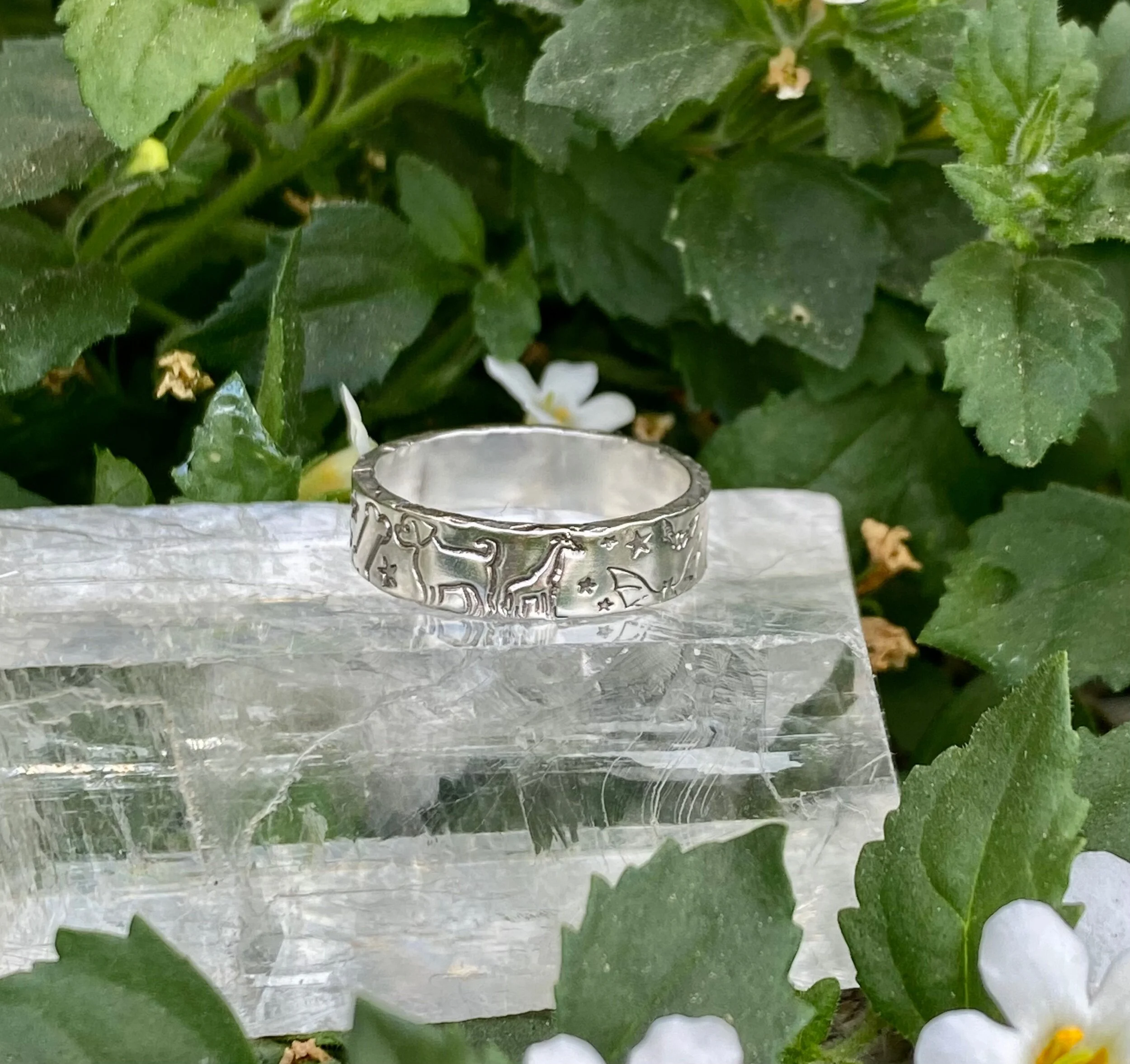 FC5E8DA6-9312-49A7-86AA-4F20F140451E