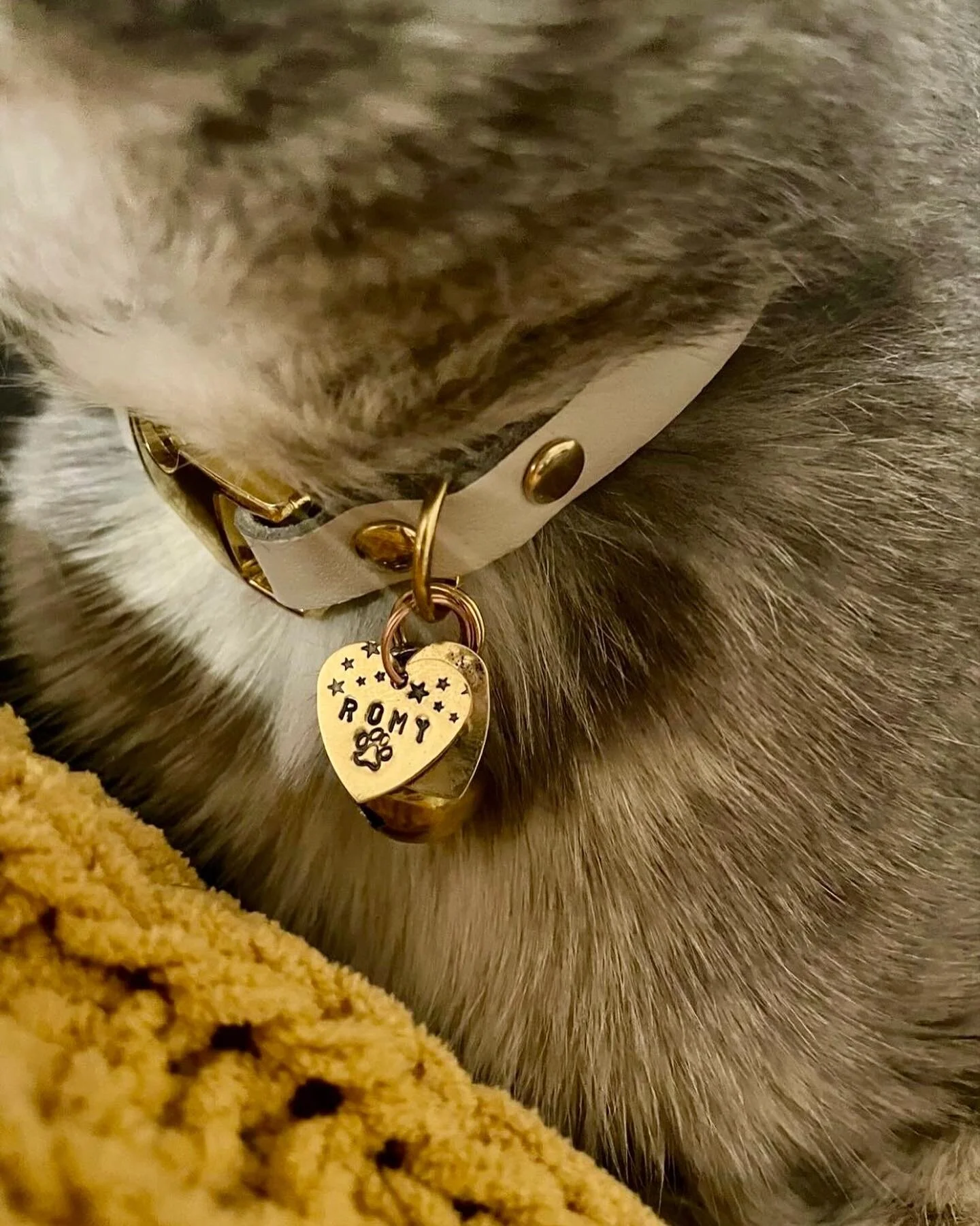 58E5F9DB-FD07-4AD6-BD49-1A92DB0849A0