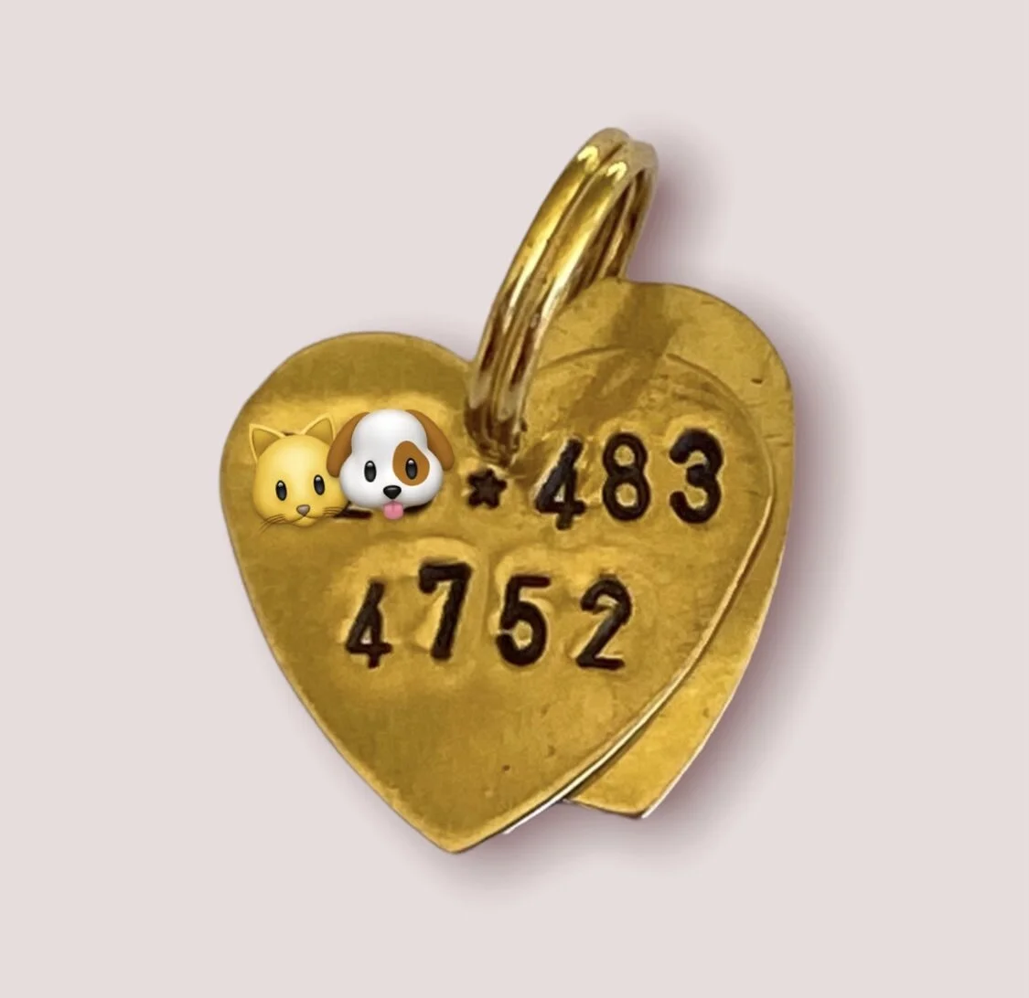 0EF6DFEF-93CE-412E-B9E6-219049EDBF4F