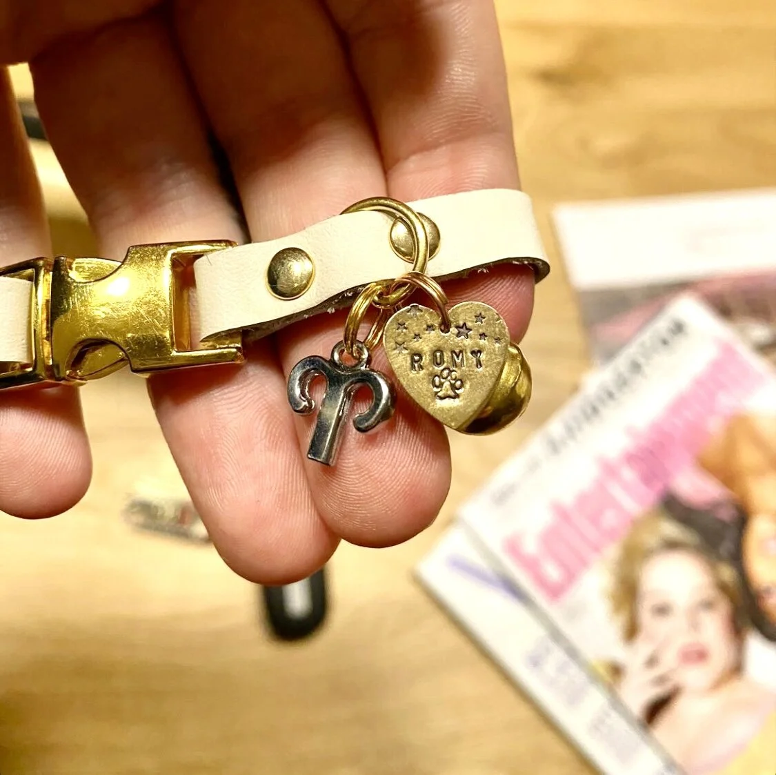 C63DDBCF-513E-49CD-A993-2C47168C5268