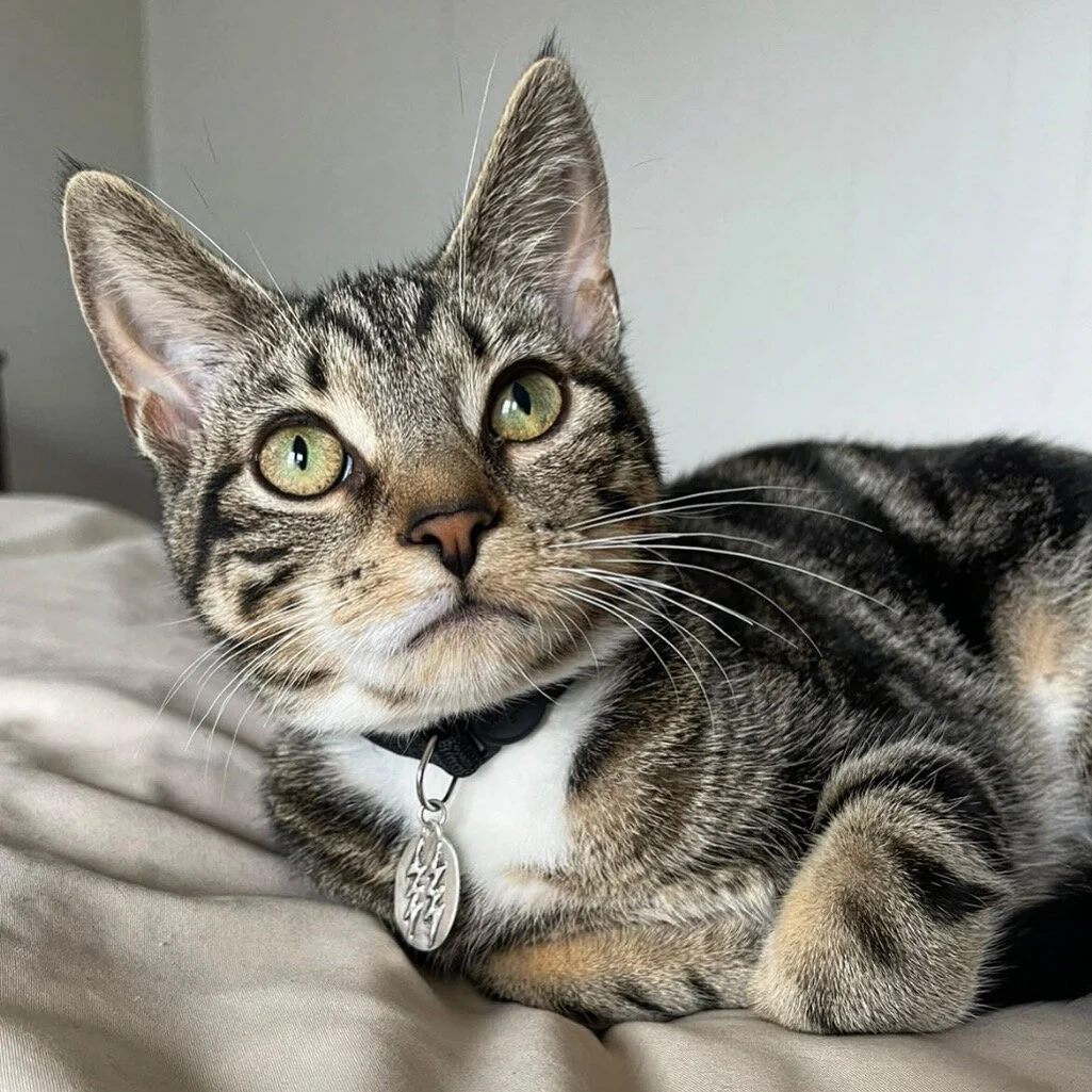 FBA5190C-1E13-49F6-92B7-8C9E32904E84