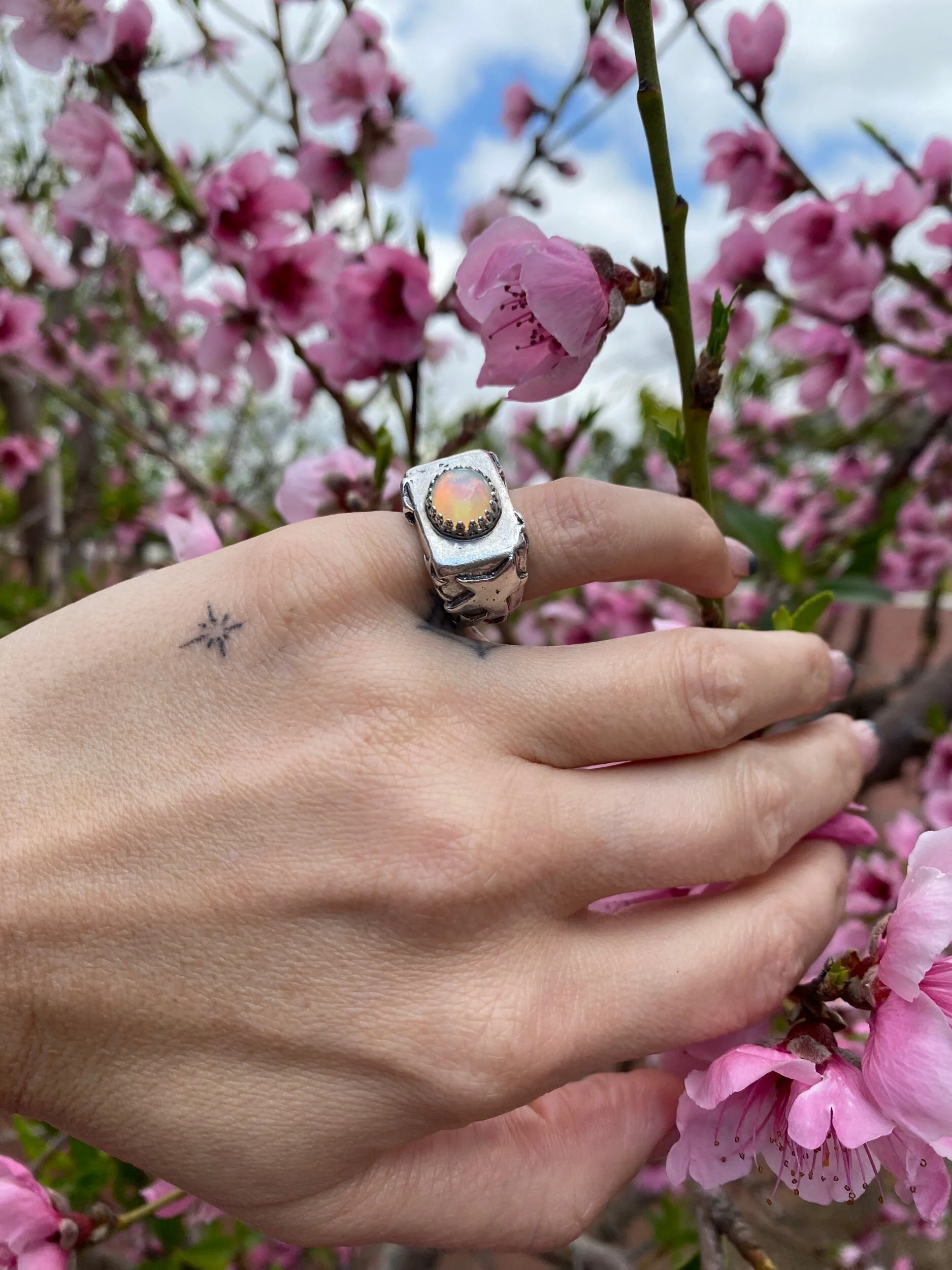 1B7205E7-7881-4A4B-A584-27D9BCC3F765