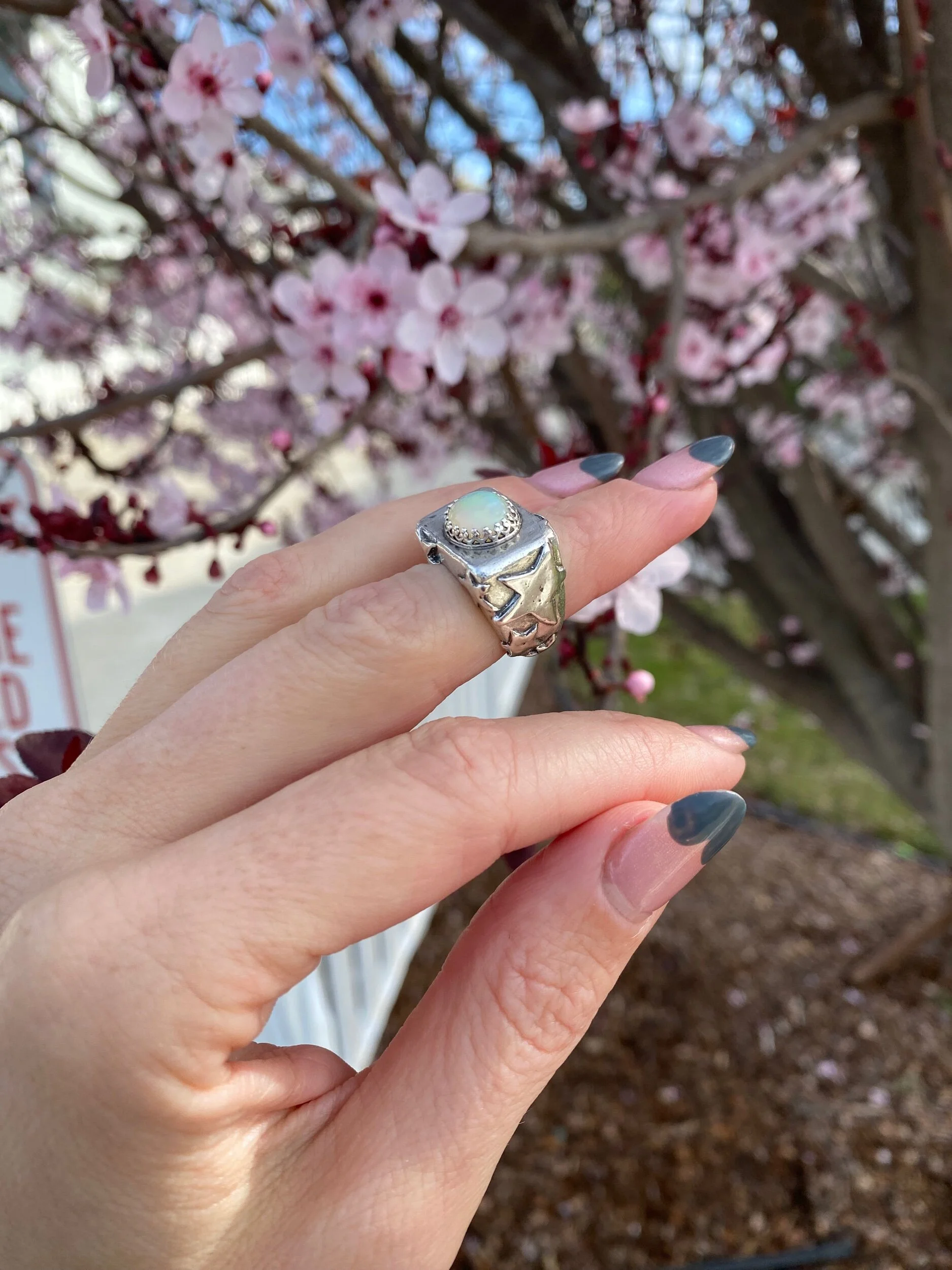 3DD53825-B16D-4C84-9442-17E23DCB6294