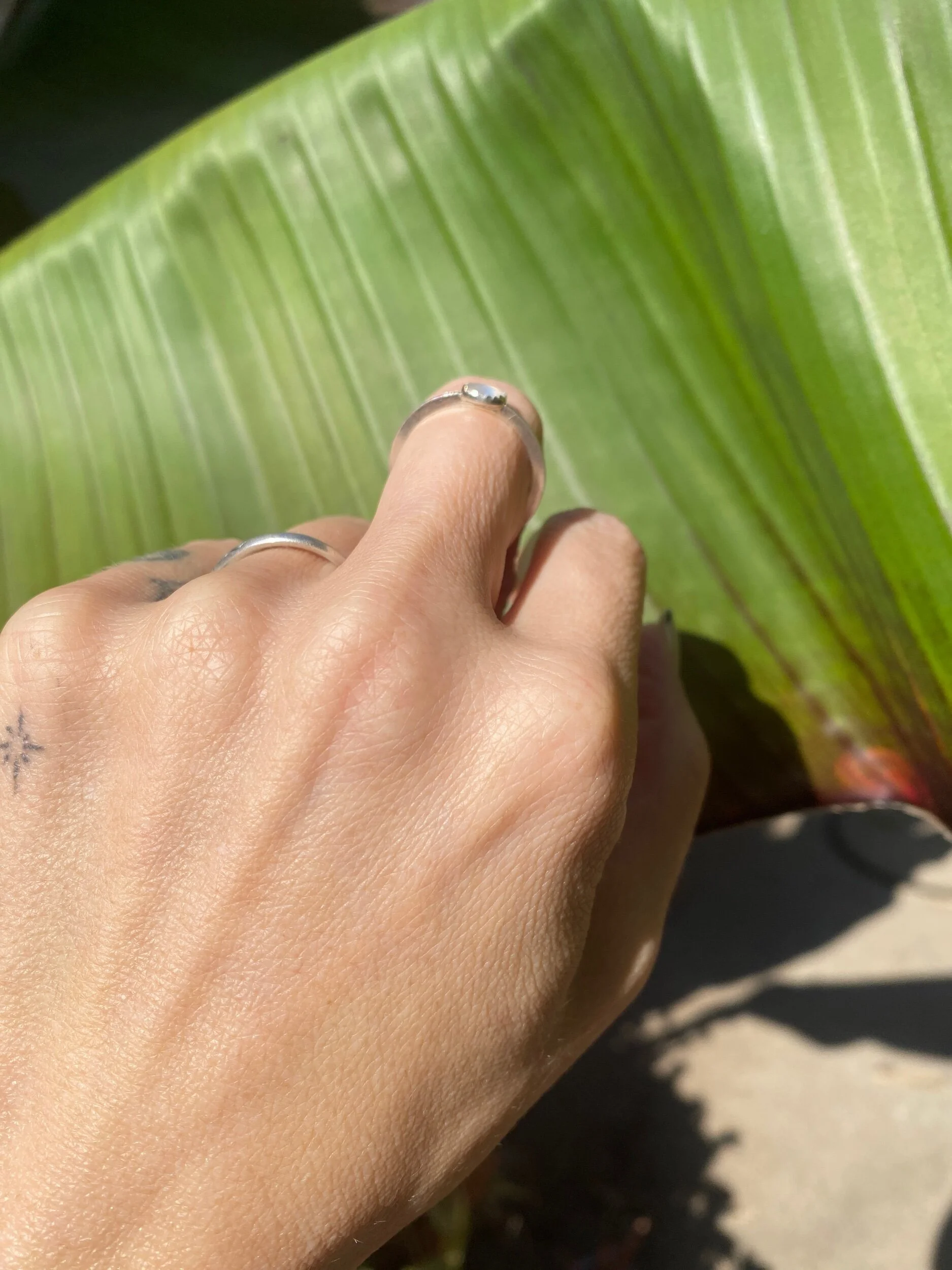 5ECA9B51-199D-479C-AF17-58EBDF16CD21