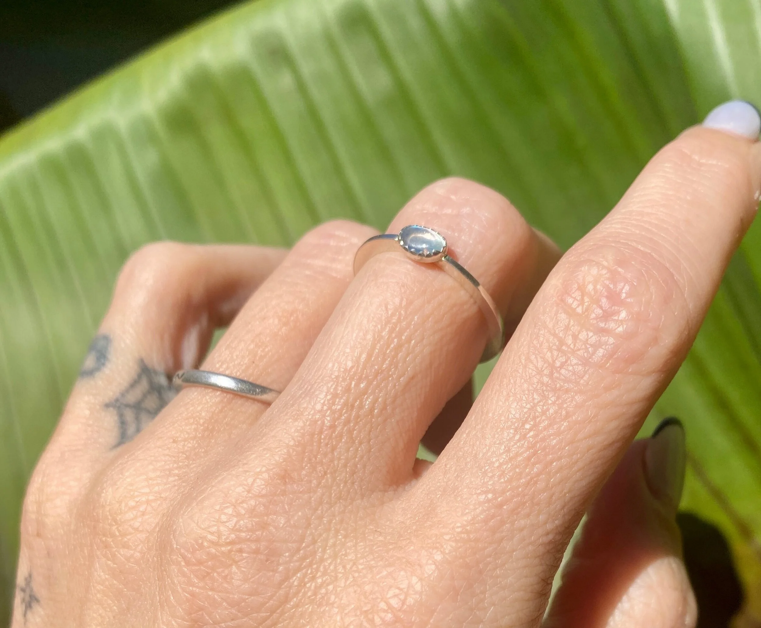 8A09C8A3-D601-407B-A31B-9254EB09CB82