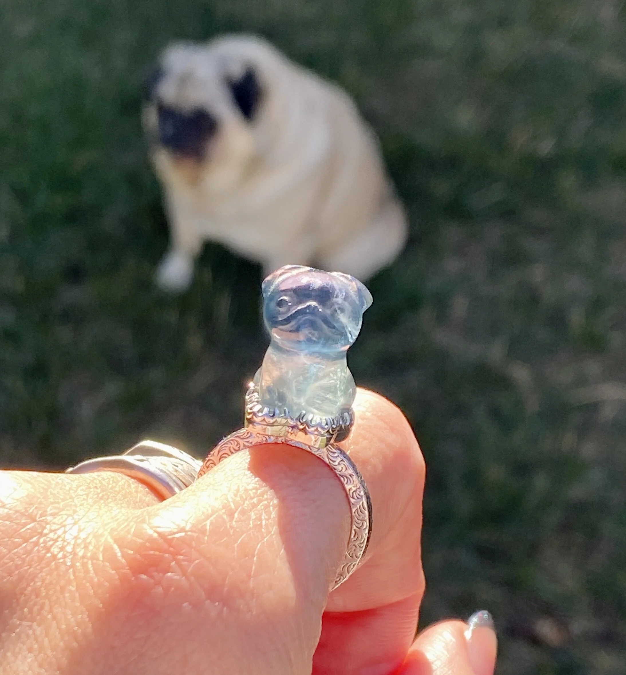 BCE7E22C-D1BE-4EC1-8A77-52E8DF089866