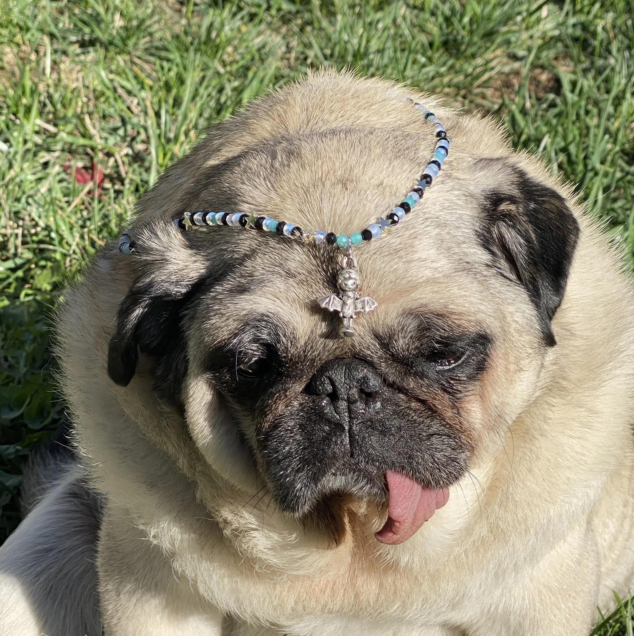 BDBDA15F-0212-4304-BD40-1490FE0E1C48