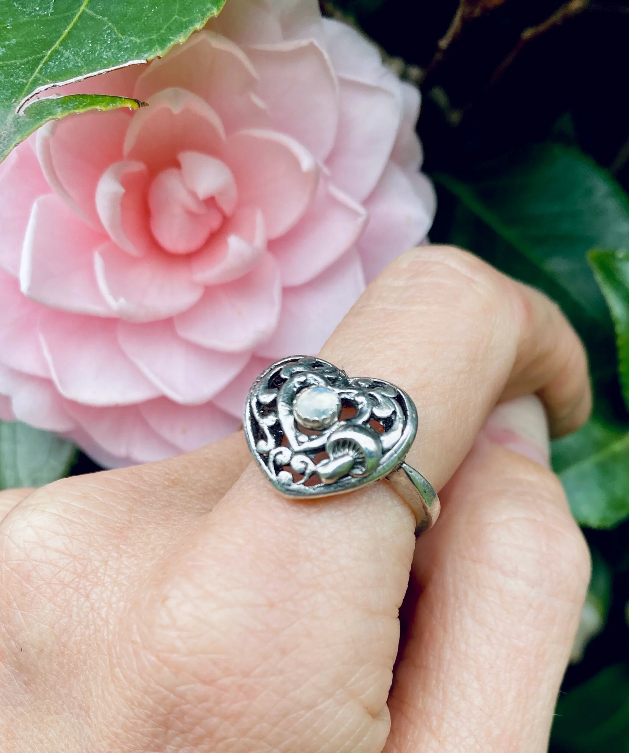 D1DBD51F-027E-419A-A996-4D8B4A540394