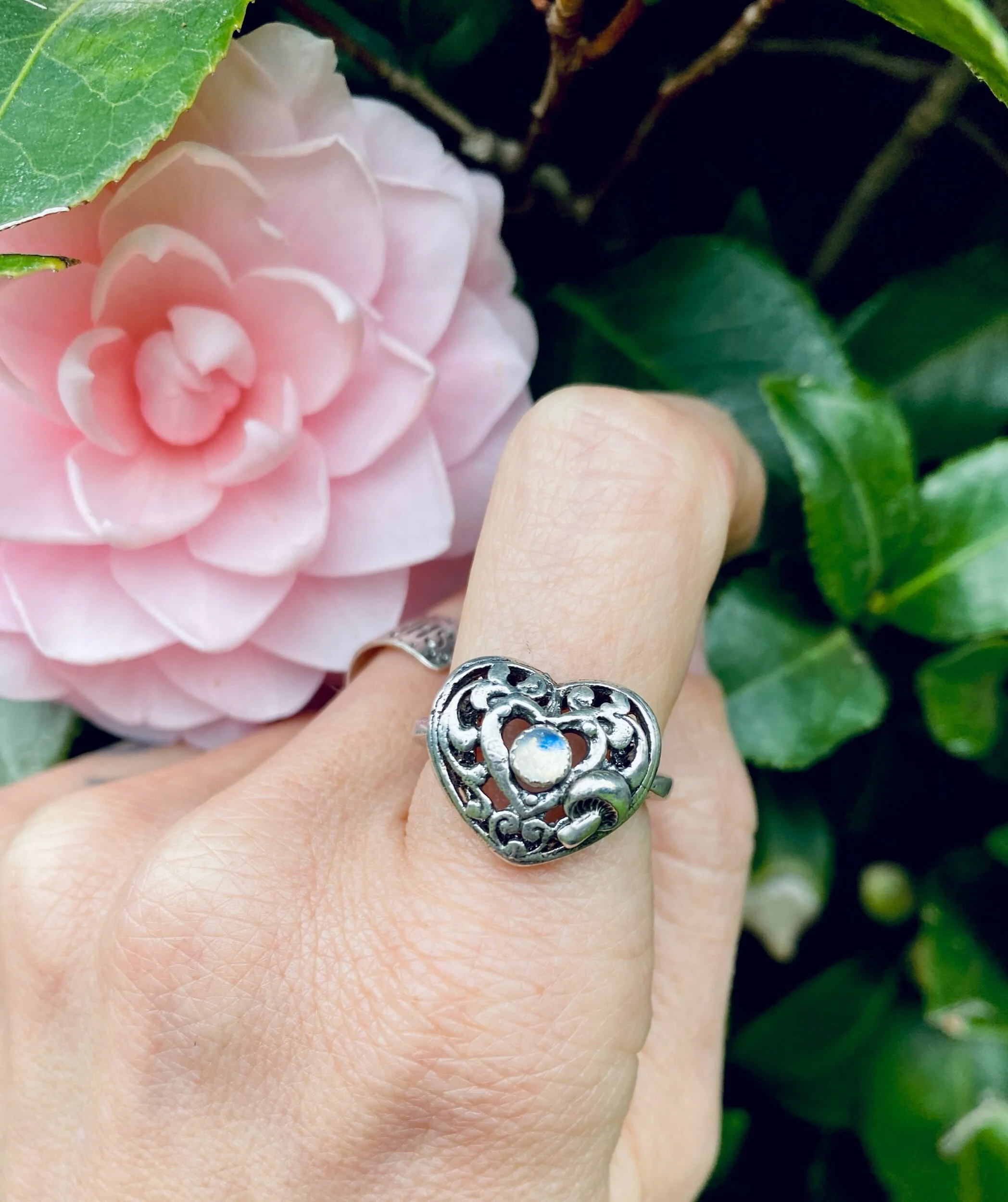 F70F08CB-356B-4086-837F-D27A6C551608