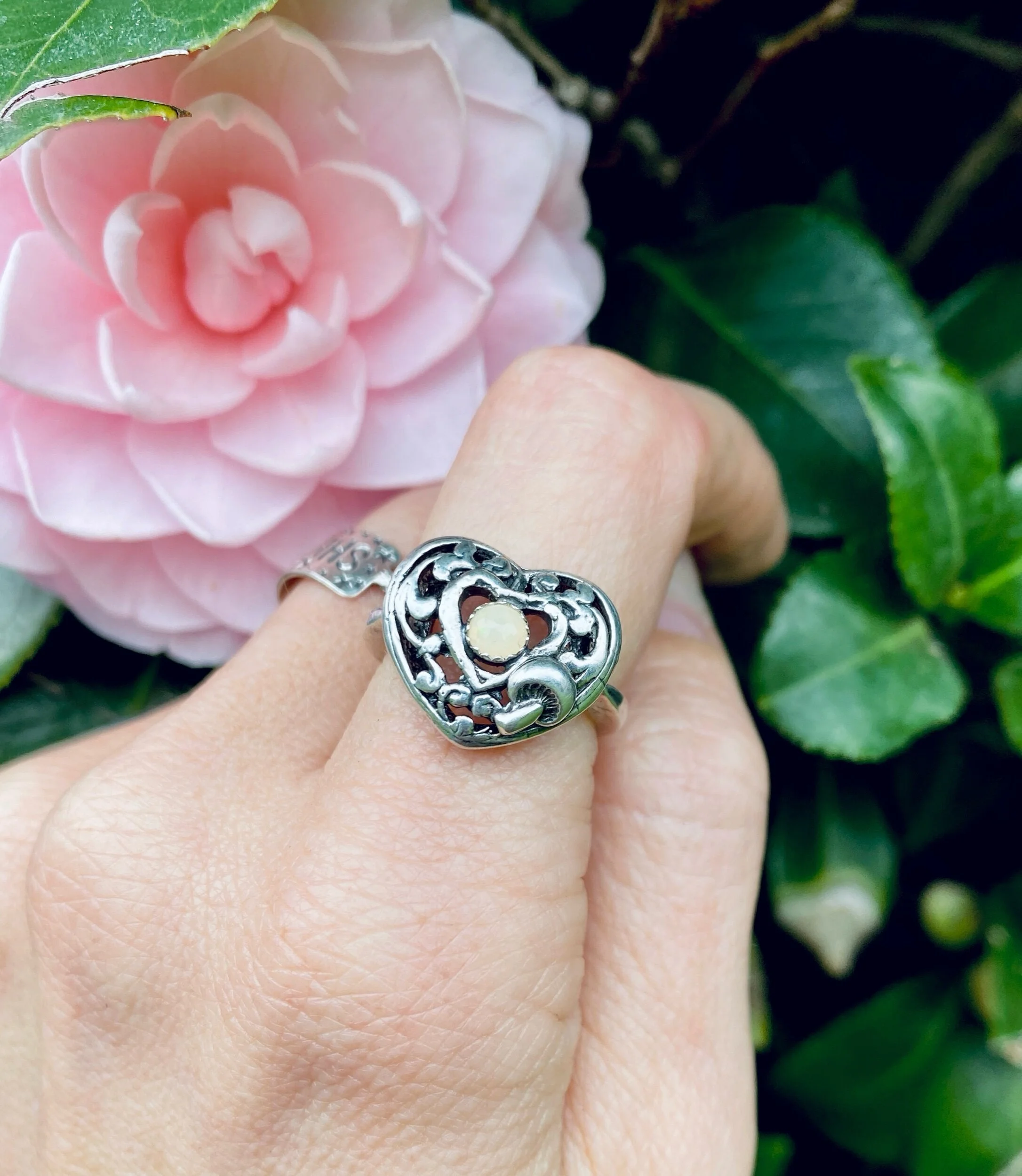 19552434-B3F8-4370-99F6-0DF36559CD1A