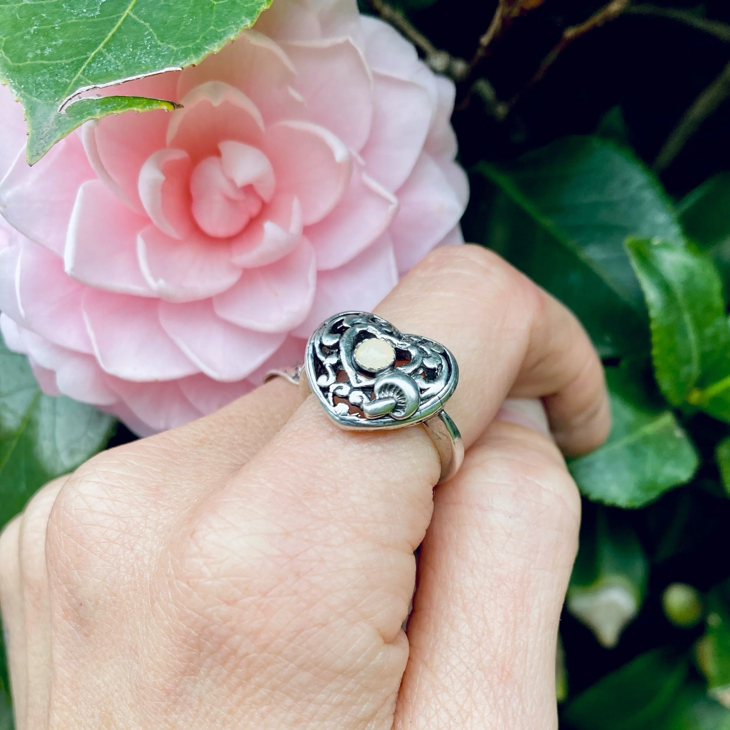 24FB3F4A-CC15-49E7-A1B5-99A8E4A4FE0B