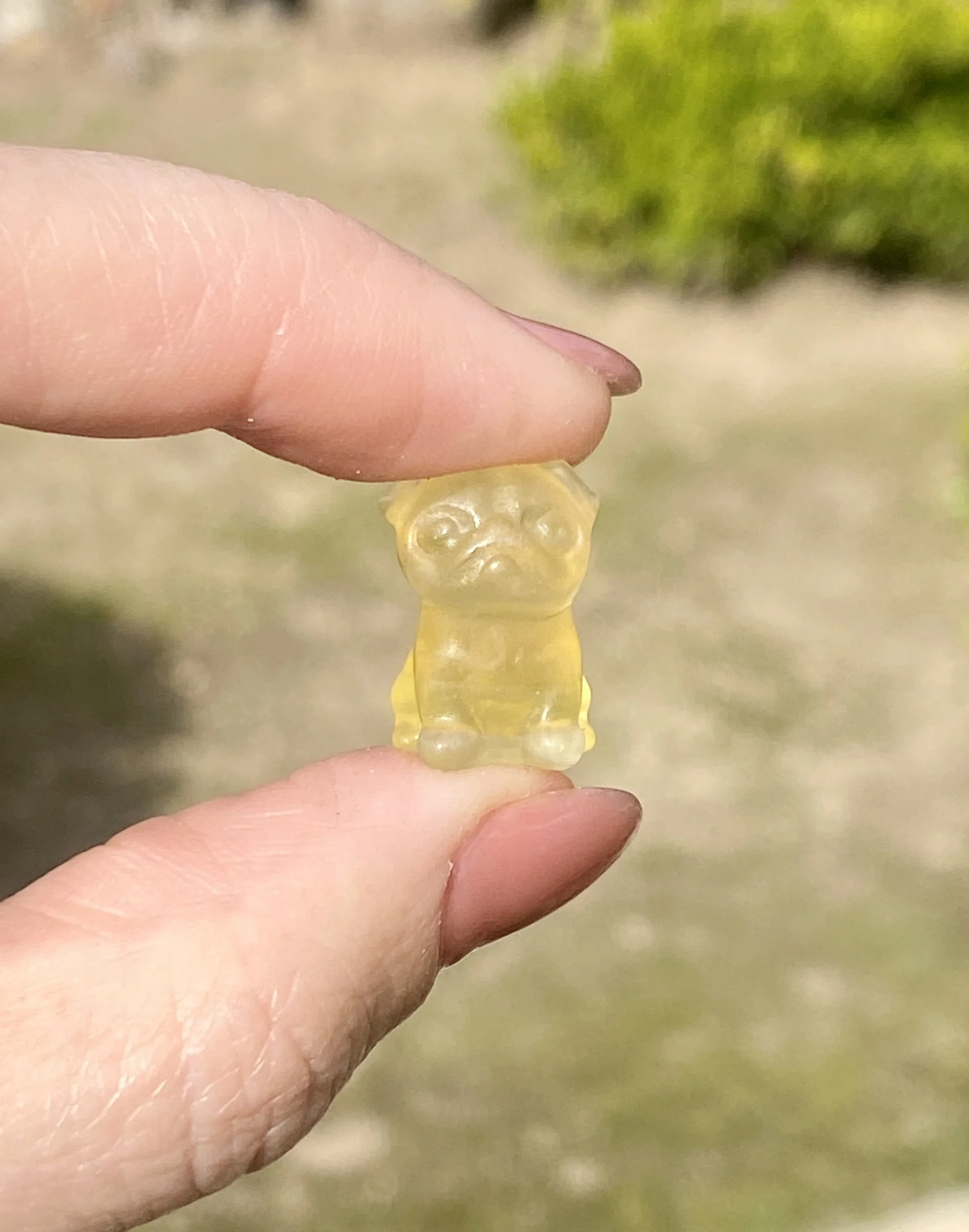 6EECFFBC-EDEB-4DA9-871A-16D09E47E5F3